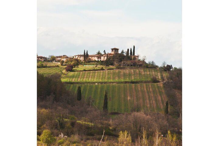 Private Driver Tour from Florence: San Gimignano, Two Chianti Wineries, Michelangelo Stop (3/12)