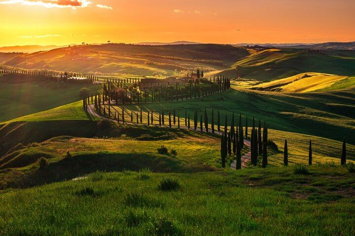 Private Driver Tour from Florence: San Gimignano, Two Chianti Wineries, Michelangelo Stop (9/12)