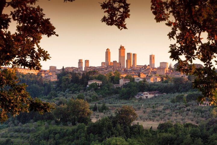 Private Driver Tour from Florence: San Gimignano, Two Chianti Wineries, Michelangelo Stop (10/12)