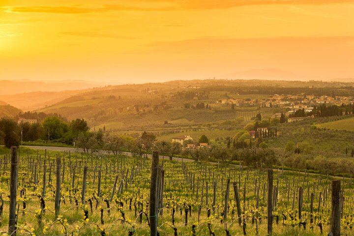 Private Driver Tour from Florence: San Gimignano, Two Chianti Wineries, Michelangelo Stop (4/12)
