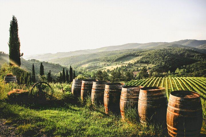 Private Driver Tour from Florence: San Gimignano, Two Chianti Wineries, Michelangelo Stop (7/12)