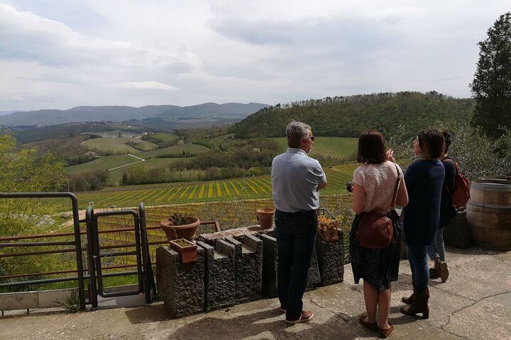 Chianti Classico Day from Florence: Impruneta Terracotta Village, 3 Wineries and Lunch (11/12)