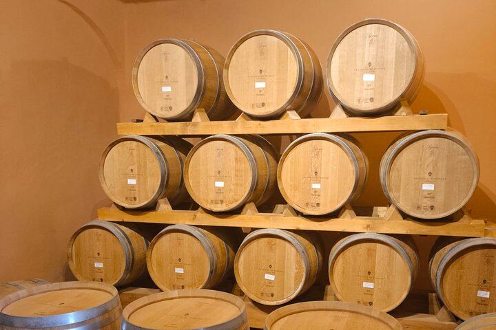 Chianti Classico Day from Florence: Impruneta Terracotta Village, 3 Wineries and Lunch (7/12)