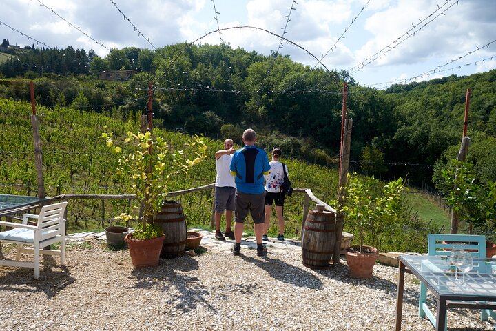 Chianti Classico Day from Florence: Impruneta Terracotta Village, 3 Wineries and Lunch (4/12)