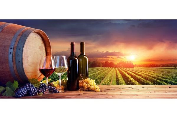 Private Driver Tour from Florence: San Gimignano, Two Chianti Wineries, Michelangelo Stop