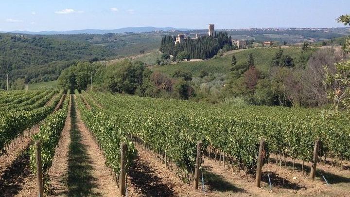 Private Chianti Wine Day: Radda Lunch Pairing, Two Wineries and Six Hill Villages (1/11)