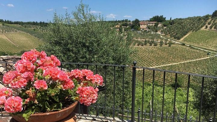 Private Chianti Wine Day: Radda Lunch Pairing, Two Wineries and Six Hill Villages (4/11)