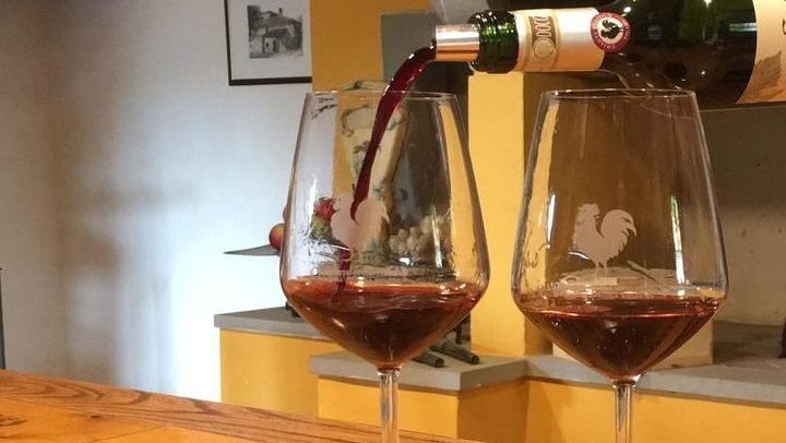 Private Chianti Wine Day: Radda Lunch Pairing, Two Wineries and Six Hill Villages (2/11)