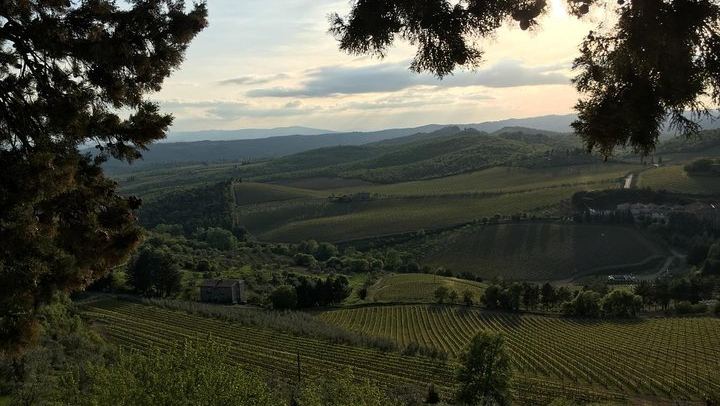 Private Chianti Wine Day: Radda Lunch Pairing, Two Wineries and Six Hill Villages (3/11)