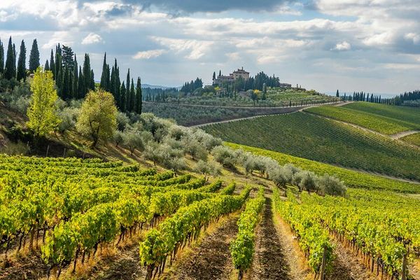 Private Chianti Wine Day: Radda Lunch Pairing, Two Wineries and Six Hill Villages