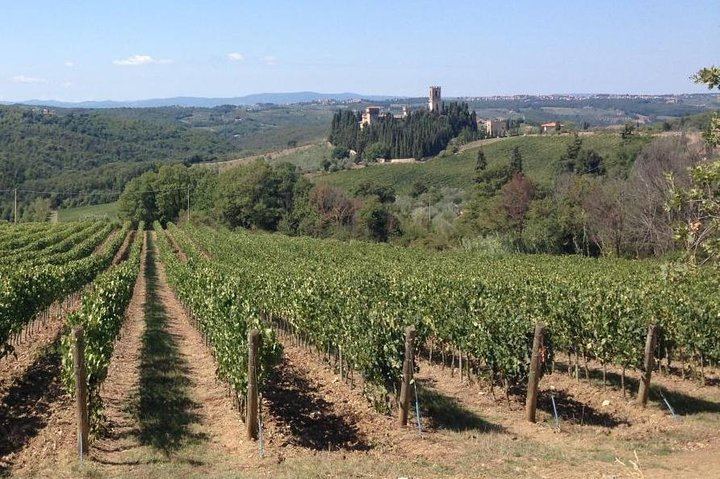 Private Chianti Wine Day: Radda Lunch Pairing, Two Wineries and Six Hill Villages (1/11)