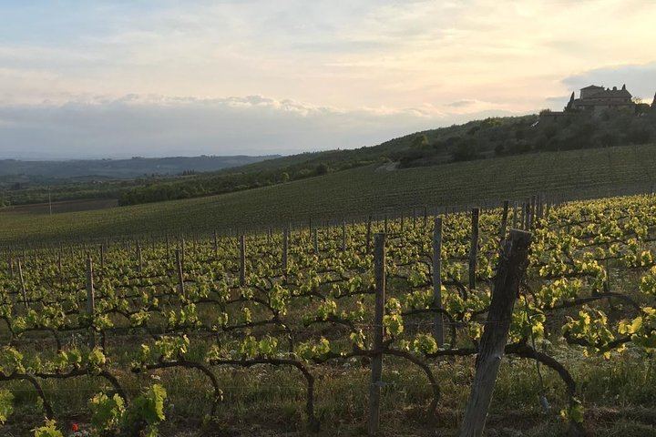 Private Chianti Wine Day: Radda Lunch Pairing, Two Wineries and Six Hill Villages (8/11)