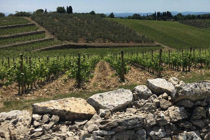 Private Chianti Wine Day: Radda Lunch Pairing, Two Wineries and Six Hill Villages (9/11)