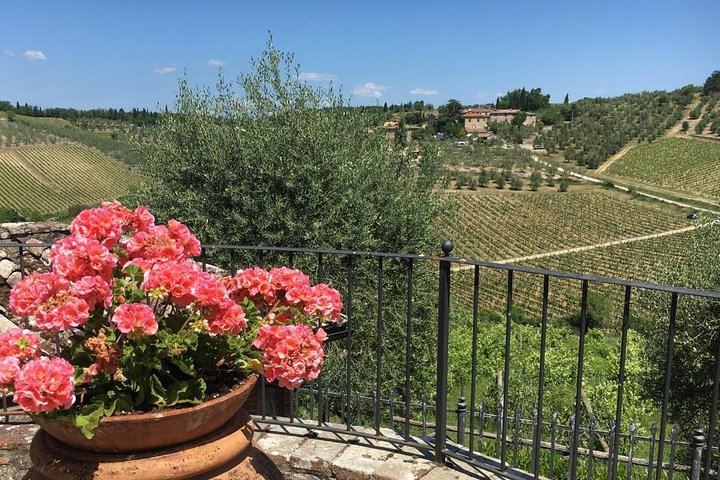 Private Chianti Wine Day: Radda Lunch Pairing, Two Wineries and Six Hill Villages (4/11)