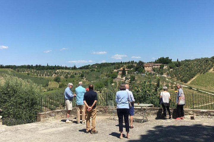 Private Chianti Wine Day: Radda Lunch Pairing, Two Wineries and Six Hill Villages (7/11)