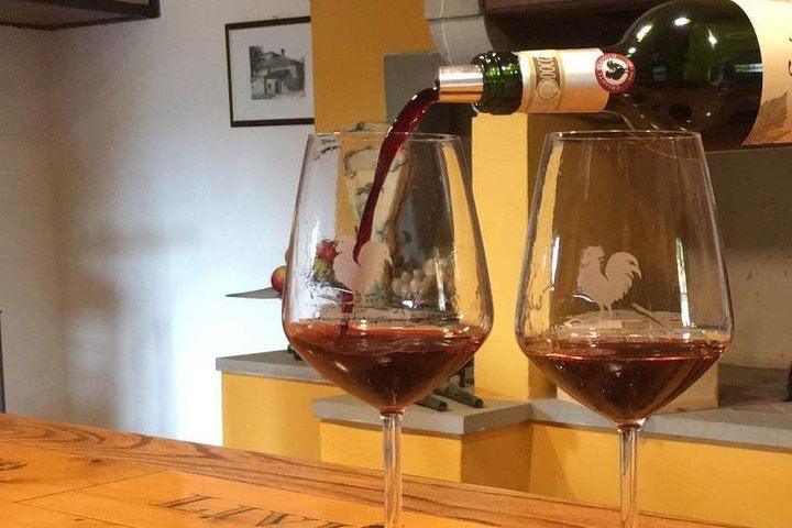 Private Chianti Wine Day: Radda Lunch Pairing, Two Wineries and Six Hill Villages (2/11)