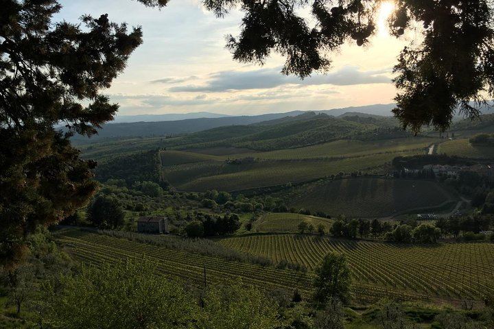 Private Chianti Wine Day: Radda Lunch Pairing, Two Wineries and Six Hill Villages (3/11)
