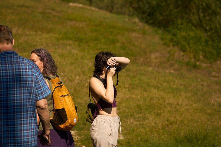 Semi-Private Supertuscan Tour from Florence: Castello di Gabbiano and Greve (7/12)