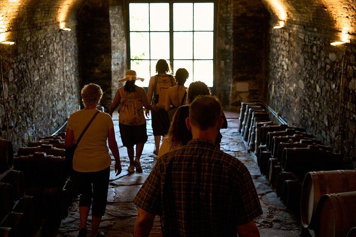 Semi-Private Supertuscan Tour from Florence: Castello di Gabbiano and Greve (12/12)