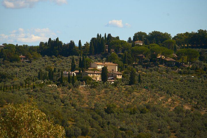 Semi-Private Supertuscan Tour from Florence: Castello di Gabbiano and Greve (8/12)