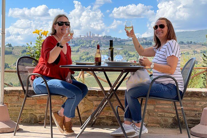 Small-Group Chianti Wine Tour from Florence: San Gimignano and Two Farm Wineries (1/12)