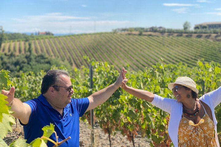 Small-Group Chianti Wine Tour from Florence: San Gimignano and Two Farm Wineries (4/12)