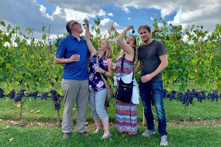 Small-Group Chianti Wine Tour from Florence: San Gimignano and Two Farm Wineries (7/12)