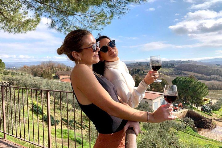 Small-Group Chianti Wine Tour from Florence: San Gimignano and Two Farm Wineries (6/12)