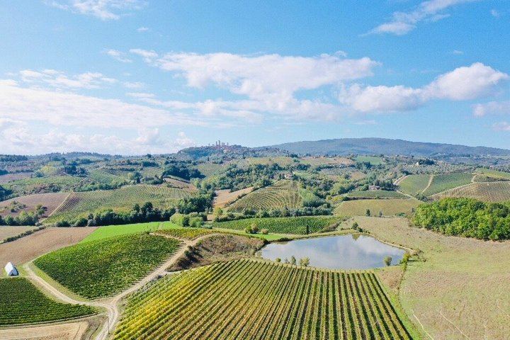 Small-Group Chianti Wine Tour from Florence: San Gimignano and Two Farm Wineries (8/12)