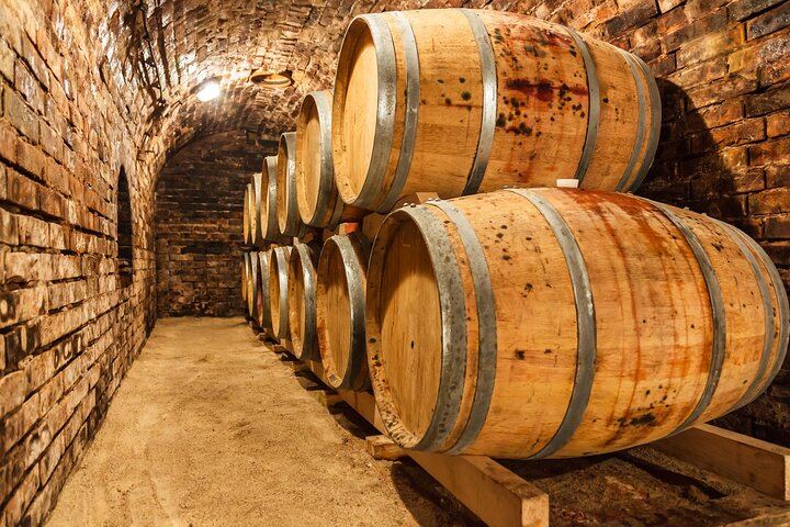 Small-Group Chianti Wine Tour from Florence: San Gimignano and Two Farm Wineries (5/12)