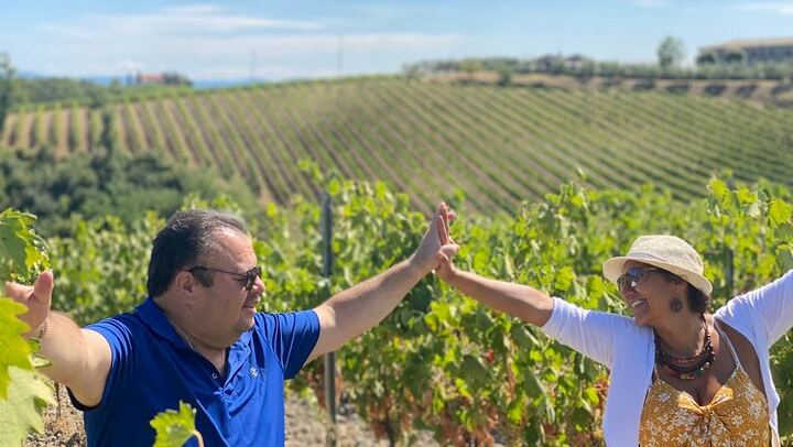 Small-Group Chianti Wine Tour from Florence: San Gimignano and Two Farm Wineries (4/12)