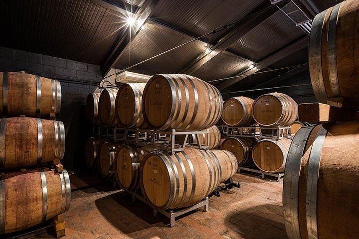 Semi-Private Mercedes Van Wine Day from Florence: San Gimignano and Prosecco (11/12)