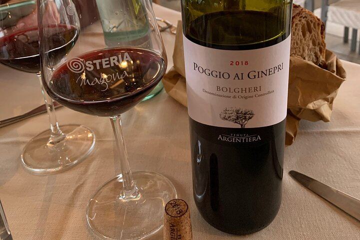 Chianti Family Winery Visit and San Gimignano Stroll, 5-Hour Trip with Florence Pickup (10/12)