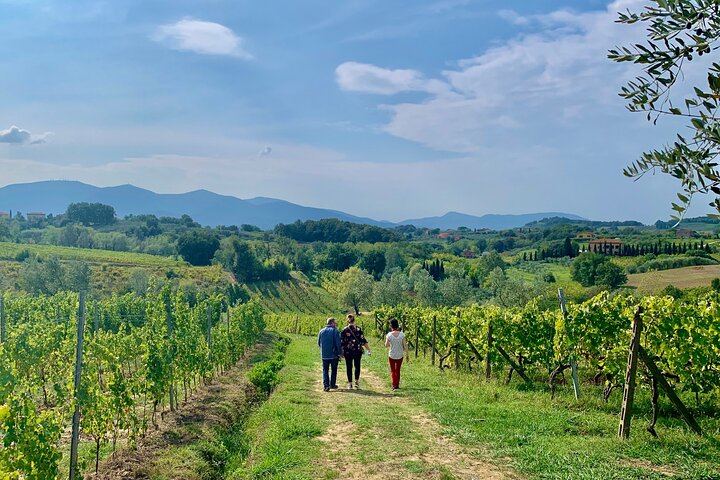 Chianti Family Winery Visit and San Gimignano Stroll, 5-Hour Trip with Florence Pickup (12/12)