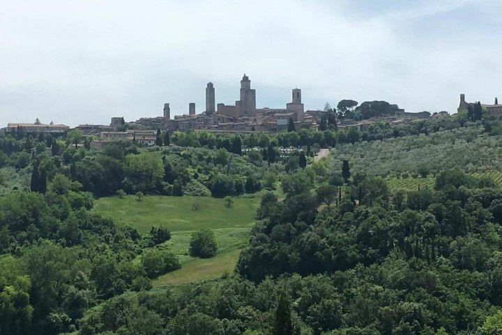 Chianti Family Winery Visit and San Gimignano Stroll, 5-Hour Trip with Florence Pickup (6/12)