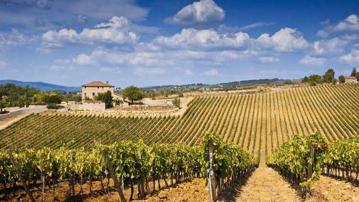 Classic Chianti Villages and Wine Roads by Minivan from Florence, with Light Lunch (4/11)