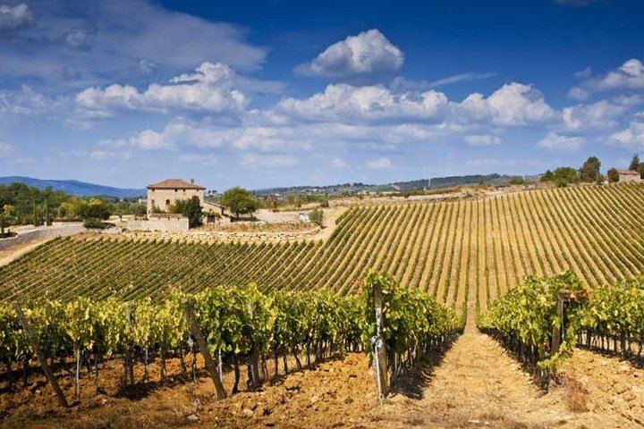 Classic Chianti Villages and Wine Roads by Minivan from Florence, with Light Lunch (4/11)