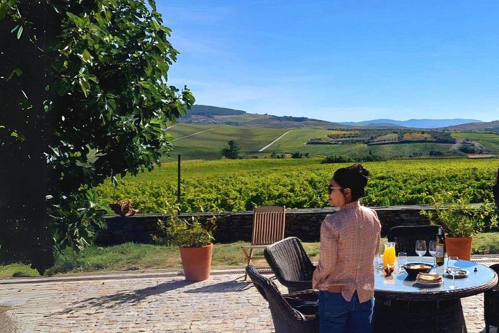 Private Douro Valley Tour Built Your Way: Choose Estates, Lunch, Boat and Family Add-Ons (9/12)