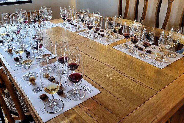 Small-Group Hunter Valley Day Tour from Sydney: Wineries, Gin, Cheese and Chocolate (12/12)