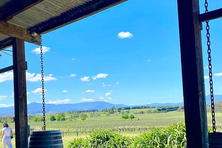 Small-Group Yarra Valley Day Tour from Melbourne: Three Wineries, Chocolate and Ice Cream (12/12)