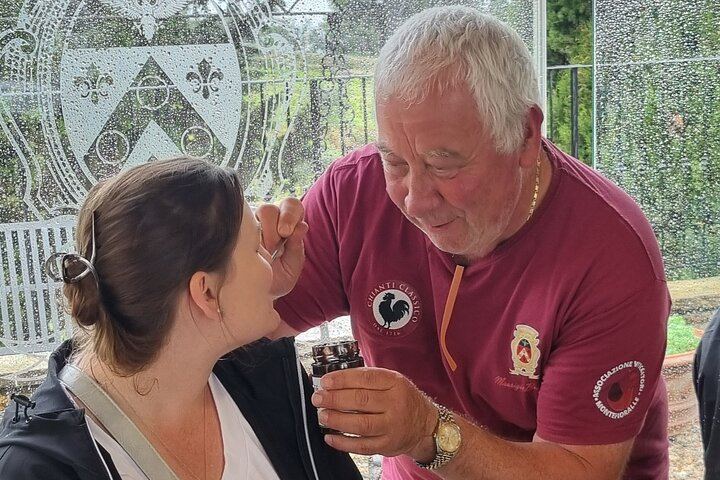 Quiet Private Chianti Classico Tasting at Two Family Wineries with a Local-Born Guide (12/12)