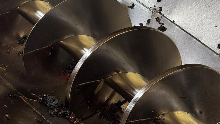Maipú Small-Group Wine, Olive Oil and Chocolate Tour with Florio and Vistandes (2/12)