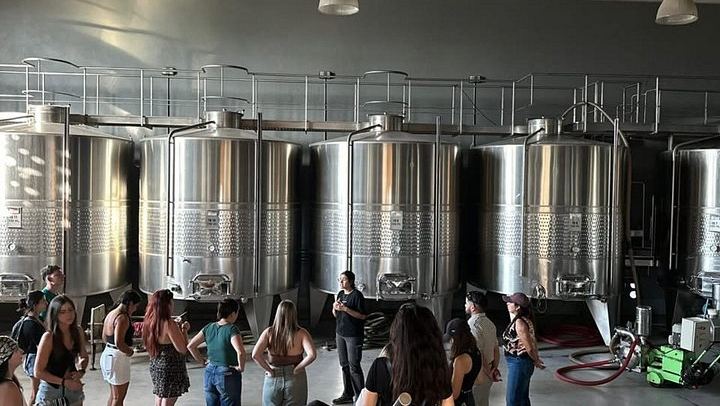 Maipú Small-Group Wine, Olive Oil and Chocolate Tour with Florio and Vistandes (4/12)