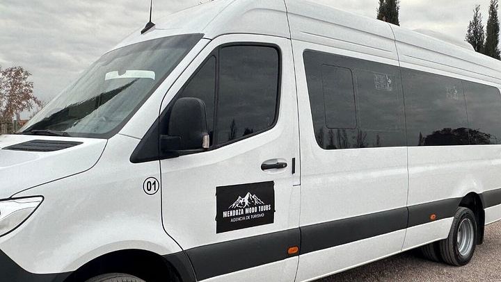 Maipú Small-Group Wine, Olive Oil and Chocolate Tour with Florio and Vistandes (3/12)