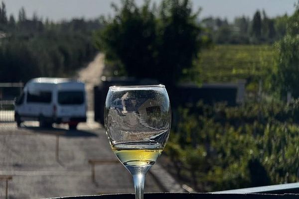 Maipú Small-Group Wine, Olive Oil and Chocolate Tour with Florio and Vistandes