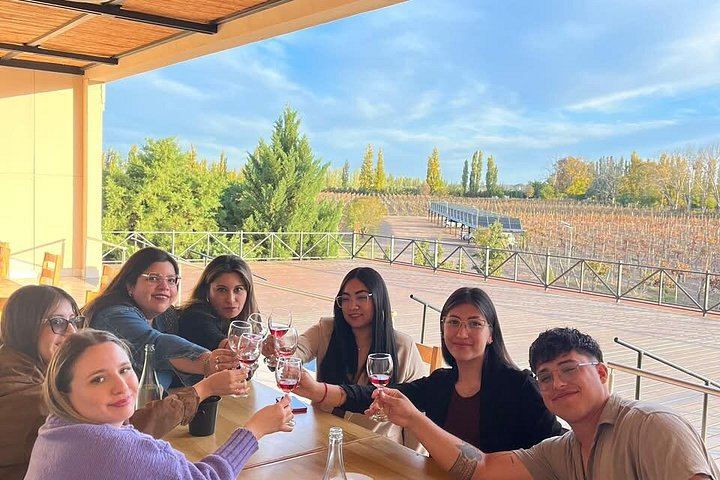 Maipú Small-Group Wine, Olive Oil and Chocolate Tour with Florio and Vistandes (11/12)