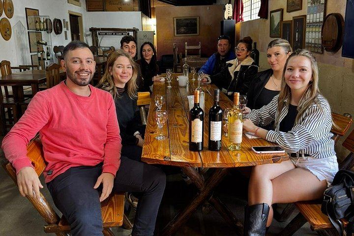 Maipú Small-Group Wine, Olive Oil and Chocolate Tour with Florio and Vistandes (8/12)