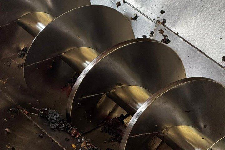 Maipú Small-Group Wine, Olive Oil and Chocolate Tour with Florio and Vistandes (2/12)