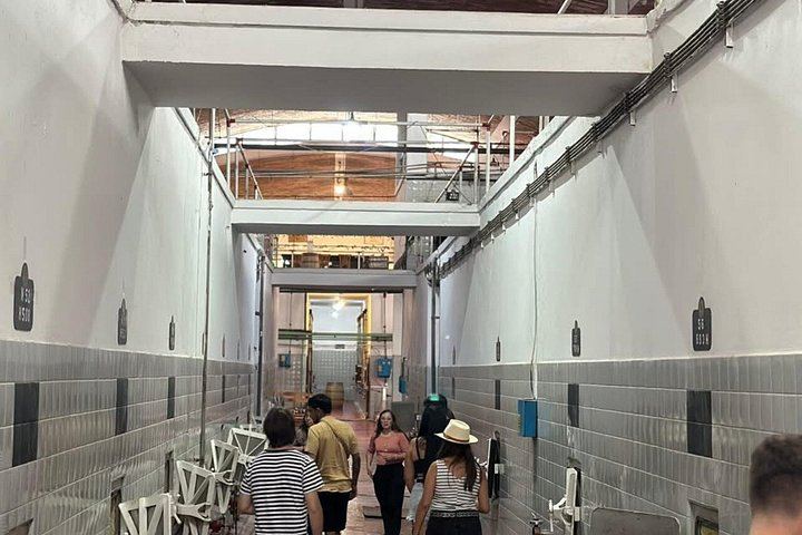 Maipú Small-Group Wine, Olive Oil and Chocolate Tour with Florio and Vistandes (5/12)