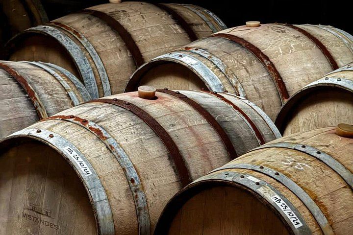 Maipú Small-Group Wine, Olive Oil and Chocolate Tour with Florio and Vistandes (6/12)